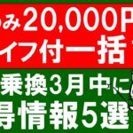 楽天モバイル、LINEMO、格安SIM他。iPhone、Android、一括、ポイント還元。2024年3月お得な携帯電話キャンペーン☆