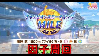 【ウマ娘】チャンミMILEに向けて因子周回 day5【初見さん歓迎】