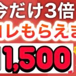 コレもう受け取ったよね？？【PayPay】