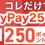 このPayPayポイント必ず貰える裏技がヤバい…