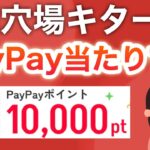【ガチ】コレあんまり広めないでね…【PayPay】