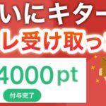 コレはさすがに貰ったよね…？？【PayPay】