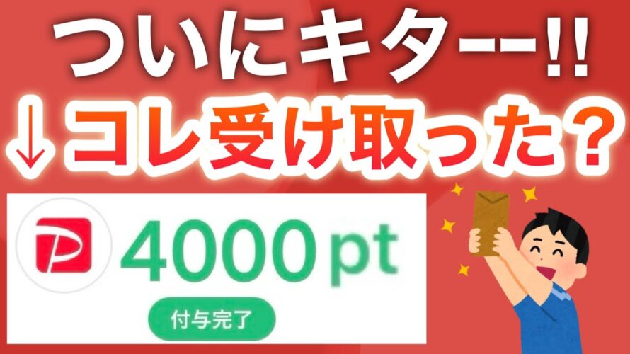 コレはさすがに貰ったよね…??【PayPay】