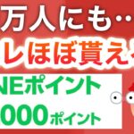 コレPayPay1000円に交換できるんだけど…‼︎