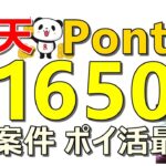 【お得連発】楽天、Pontaなど全プレ案件含むお得案件乱発！25案件以上のお得紹介！ポイ活最強です！【ad】