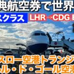 【ワンワールド特典航空券世界一周の旅】ロンドンヒースロー空港T3からT5へ乗り継ぎ　シャルル・ド・ゴール空港入国審査　詳しく解説　英語喋れなくても大丈夫【アラ還オヤジの大冒険一人旅】Episode 3