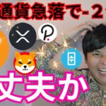 ビットコイン急落で俺の資産マイナス２億円。仮想通貨相場は大丈夫か？？