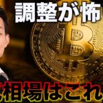 ビットコインの強気相場はこれから。調整が怖い？