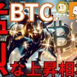 今後ビットコインは猛烈な上昇相場になる！ 一部 仮想通貨 ミームコインも元気！