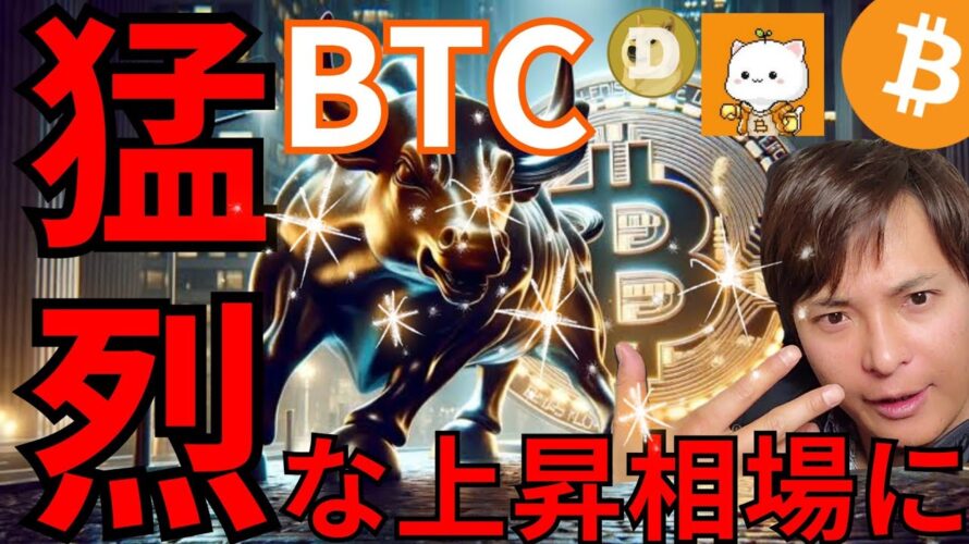 今後ビットコインは猛烈な上昇相場になる! 一部 仮想通貨 ミームコインも元気!