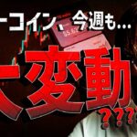 ビットコイン今週も大変動！？柴犬爆上げは危険フラグ？