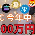 ビットコイン 今年中に2,000万円に。一部の仮想通貨は暴騰