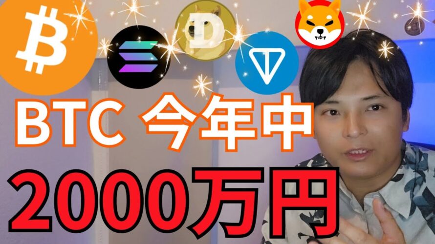 ビットコイン 今年中に2,000万円に。一部の仮想通貨は暴騰