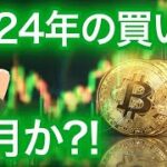 【ビットコイン初心者必見】2024年買い場 下がったら買う NFTまり