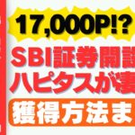 【2024年4月】ハピタスのSBI証券口座開設17,000P還元(4/24から20,000P還元に!!)がアツい!!ハイブリット預金への振替方法等 ポイント獲得方法まとめ