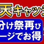 楽天ペイユーザー見逃し厳禁！楽天キャッシュ購入、楽天ポイント山分けキャンペーンでお得にチャージ♪(4/25～5/8)