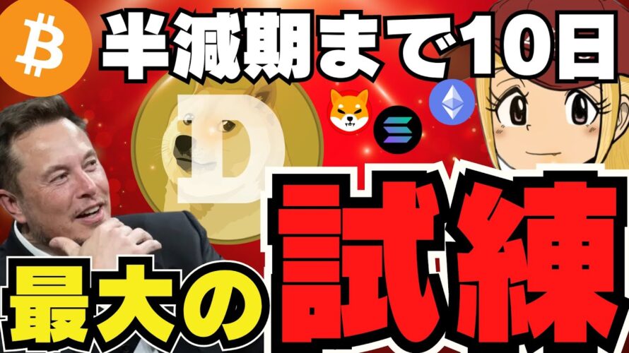 【💀仮想通貨急落】バブル直前で下落!ドージとイーロンの関係に新情報|今爆億コインは?|ビットコイン急落も今後8万ドル?|イーサリアムクジラが動く|猫系Solanaミームコインが話題|