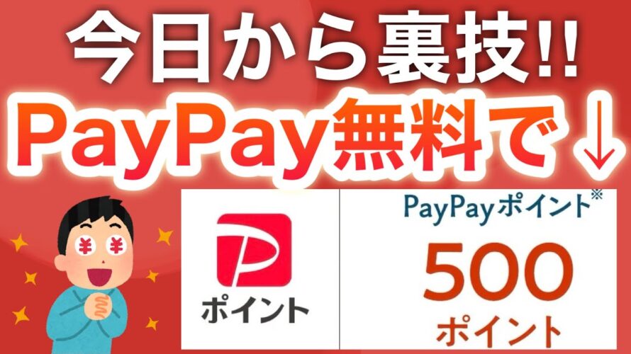 このコンボで今日から毎日PayPayチャンス…‼︎