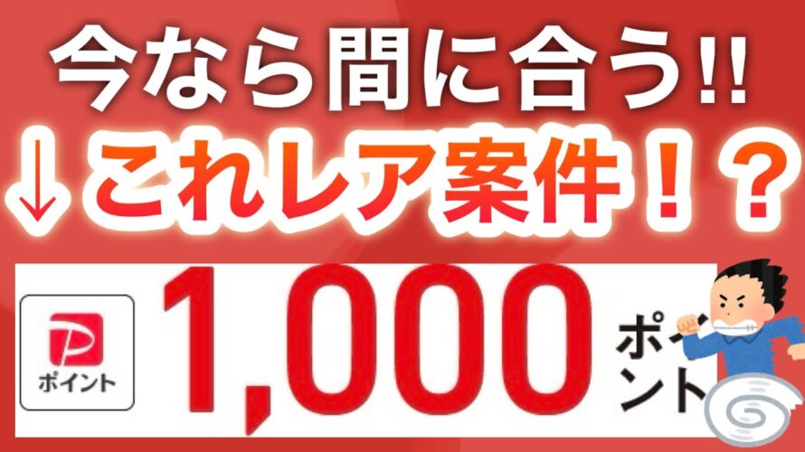 え、コレでPayPay1000pってマジ?