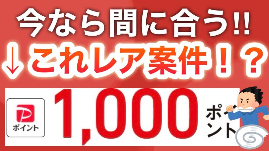 え、コレでPayPay1000pってマジ？