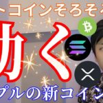 ビットコインそろそろ動く!? リップル XRP の新しい仮想通貨が誕生