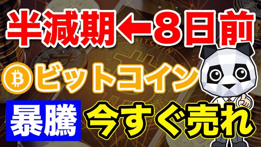 【半減期】ビットコイン半減期前の「今」これやって!買うならここ!【仮想通貨】
