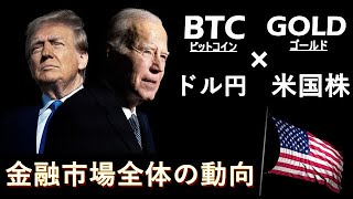 長期的見解と目先のリスクについて【ビットコイン ゴールド ドル円 米国株】