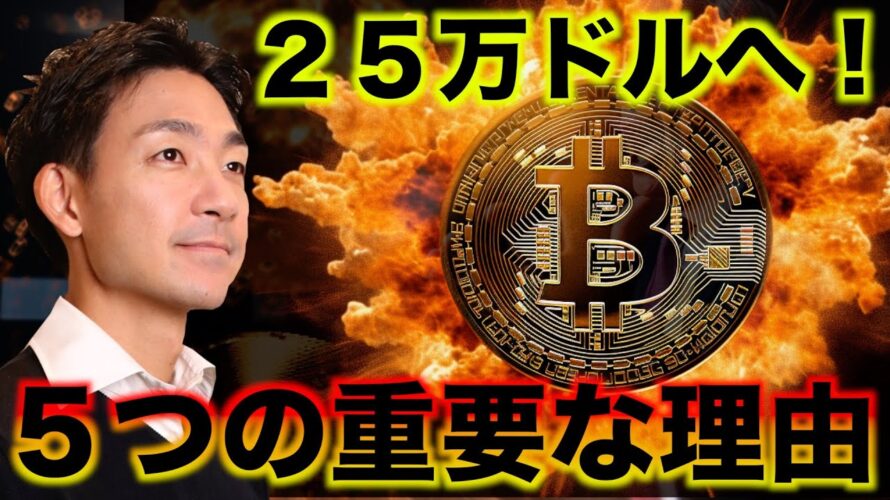 ビットコイン２５万ドルへ。大幅上昇の５つの理由。