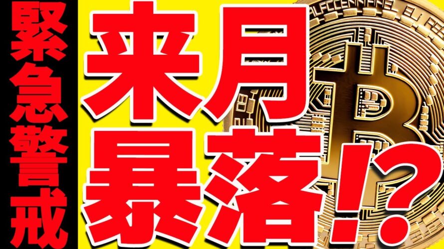 ⚠️警告⚠️ビットコイン来月大暴落⁉︎今後の最新シナリオ共有します!【仮想通貨】