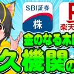 🌈🍙永久機関🍙1株ポイ活💎株価が安くて配当金の出る株の銘柄選び超解説！🌼ポイ活おすすめ 投資 SBI証券楽天証券