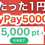 【裏技】1円をPayPay5000pにする錬金術がヤバすぎる…