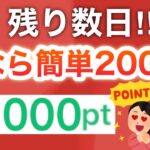 こんなに簡単に2000p貰えるの今だけだよ…【PayPayも‼︎】