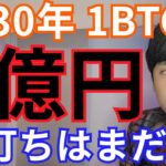 【ビットコイン2030年6億円】仮想通貨 アルトコイン 底打ちはまだ？？