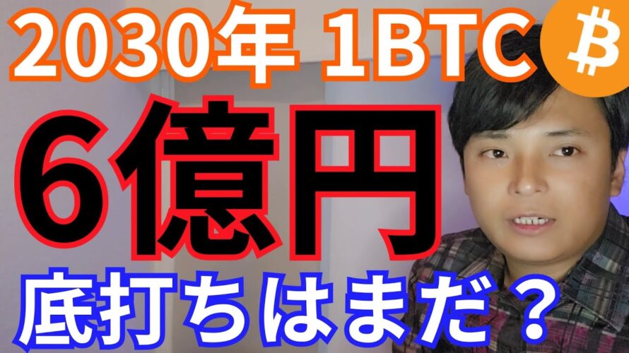 【ビットコイン2030年6億円】仮想通貨 アルトコイン 底打ちはまだ??