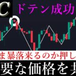 5/24⚠️「BTCバブル終了。最悪の展開が来てしまったかもしれません」ビットコイン分析