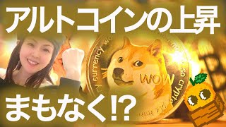 【仮想通貨初心者必見】アルトコインのサイクル 6月に向けてまもなく NFTまり