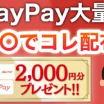 コレは設定ミスじゃないよね…？？【PayPay大量】