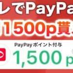 コレやらない人いるの…？【毎月PayPayポイント】