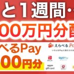 〇〇でこんなに配ってるなんて…‼︎【PayPay1000円】