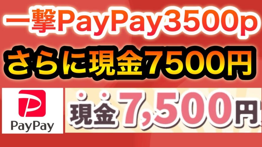 〇〇でヤバいキャンペーンスタートしたよ…【PayPay3500p】