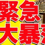 ⚠️絶対見て⚠️ビットコイン大暴落で完全終了⁉︎今後の最新シナリオを緊急共有！【仮想通貨】
