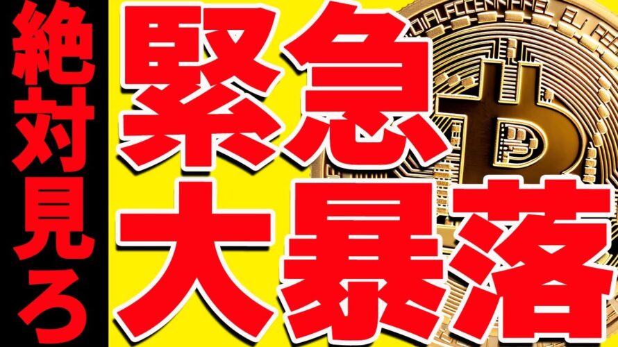 ⚠️絶対見て⚠️ビットコイン大暴落で完全終了⁉︎今後の最新シナリオを緊急共有!【仮想通貨】