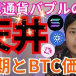 【仮想通貨バブルの天井】その時期とビットコイン価格。アルトコインは？