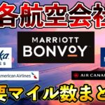 【改訂版】各航空会社✈️必要マイル数まとめ!!