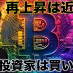 ビットコインの再上昇は近い？長期投資家は買い再開へ。