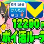 🎪6月は12290p🌸ポイ活ルーティンいくー💎クレカ積立即売りと🌷銀行ぐるぐる！🚀ポイ活おすすめ クレジットカード