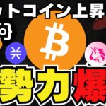 【🔥新時代到来？】ビットコイン系がヤバい！今知るべき急上昇コイン｜イーサリアム6月に上昇来るか｜柴犬は低調、ドージコインは？｜Solanaの今後｜今急上昇コインは〇〇