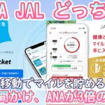 【ANA vs JAL】どっちがマイルが貯まる？【移動で貯める】