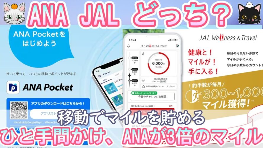 【ANA vs JAL】どっちがマイルが貯まる?【移動で貯める】
