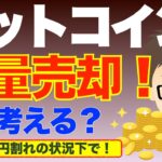 ビットコインBTC！MtGOX（マウントゴックス）,米独政府の大量売却をどう考える？